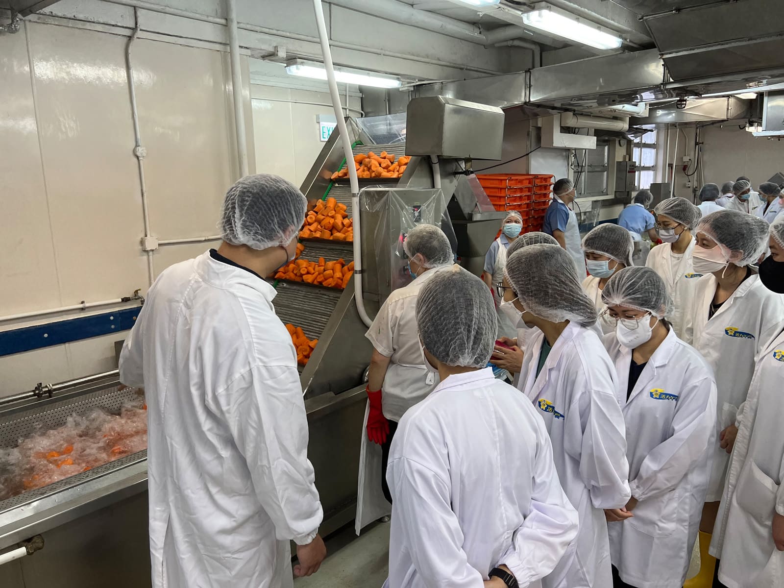 東華三院馬錦燦紀念小學