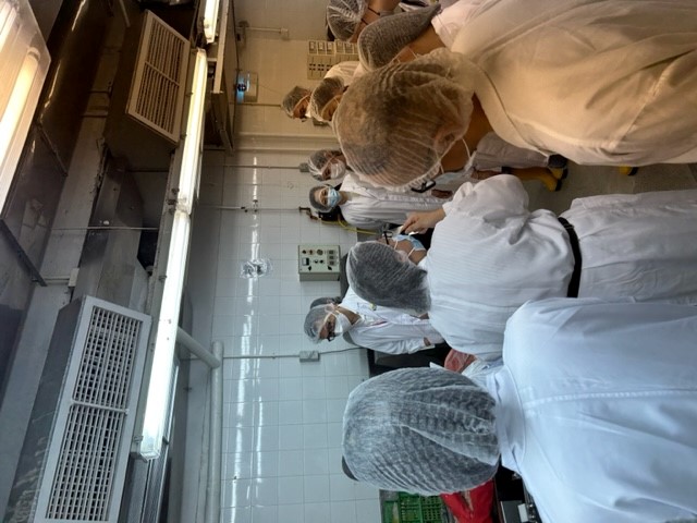 聖公會聖紀文小學