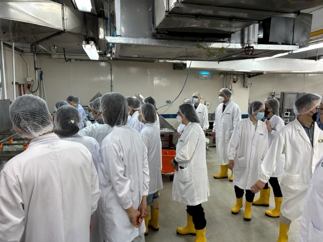 聖公會聖紀文小學