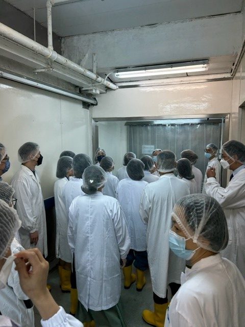 聖公會聖紀文小學