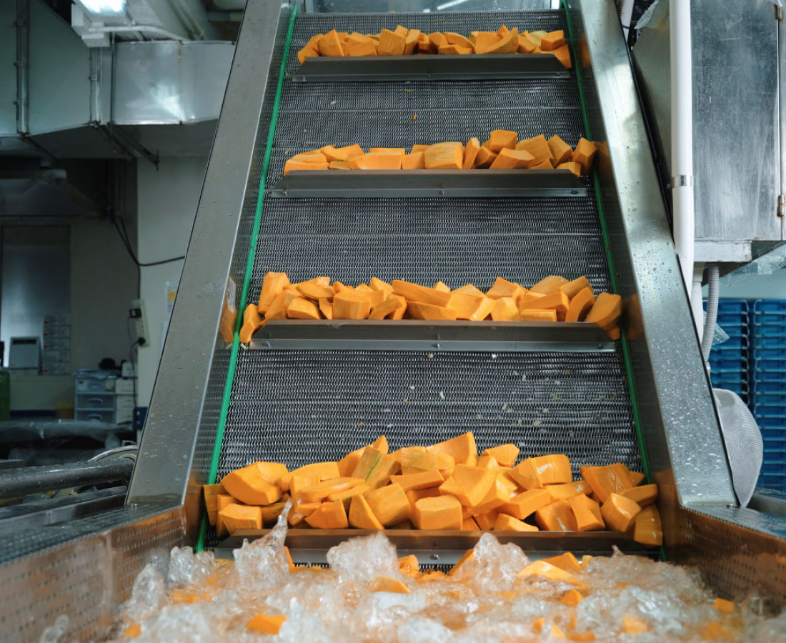 auto-produce-2